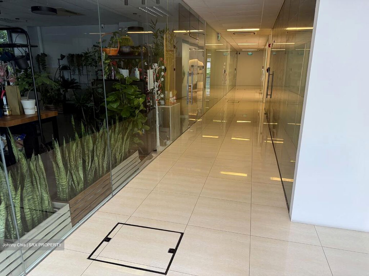 The Mezzo (D12), Retail #521043961